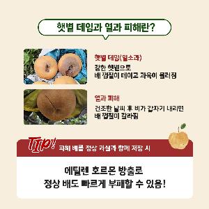 cardNews_01(1).jpg