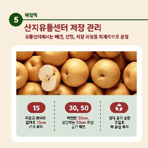 cardNews_01(1).jpg