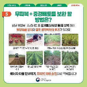 5.밭작물무피복-카드뉴스1.jpg