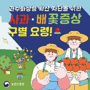 0420-농촌진흥청_카드뉴스_과수화상명확산차단을위한꽃증상구분요령_페이지_1.jpg