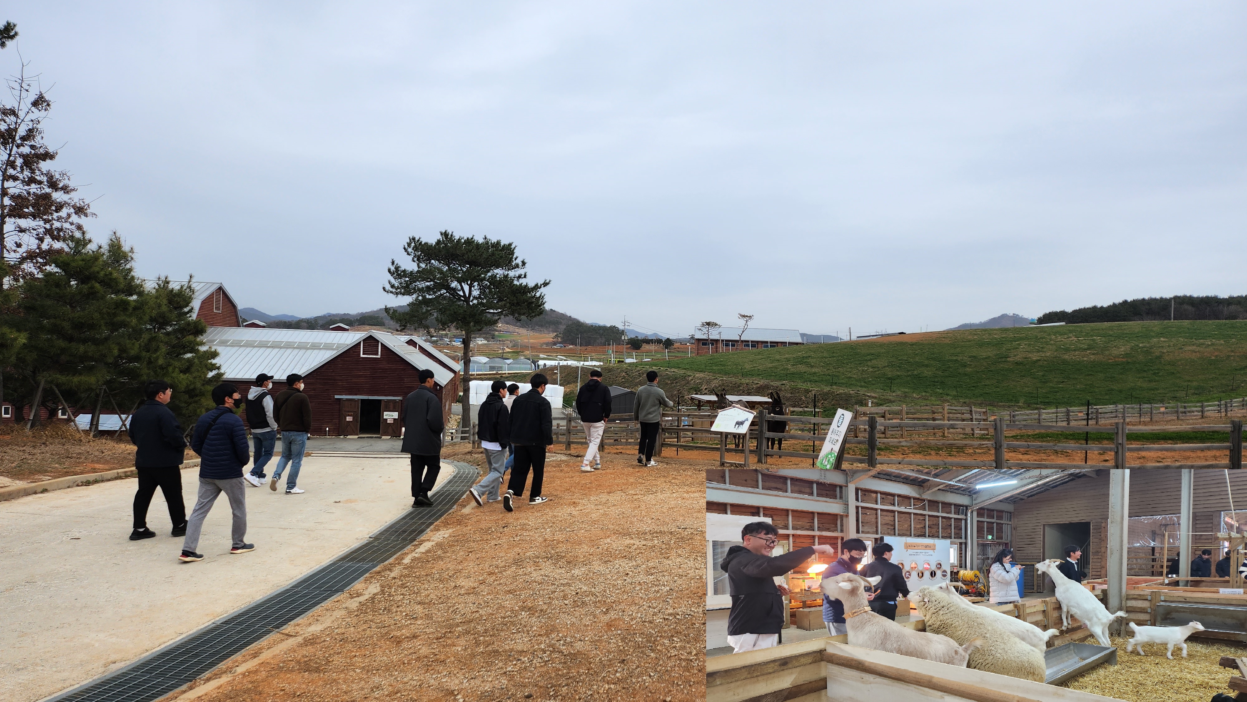 상하농원 견학