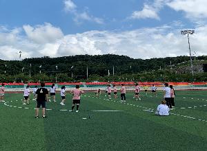 피구경기
