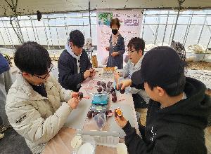 백향과 청 만들기 체험
