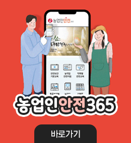 농업인안전365

바로가기